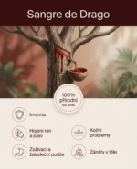 Dračí krev - Obrázek 2