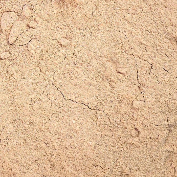 Lucuma moučka - Obrázek 3