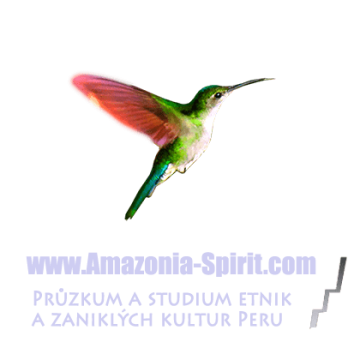 logo-amazonia-spirit